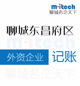 聊城東昌府區(qū)會計(jì)公司代理外資企業(yè)記賬
