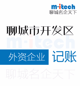 聊城經(jīng)濟(jì)技術(shù)開(kāi)發(fā)區(qū)會(huì)計(jì)辦理外資企業(yè)記賬