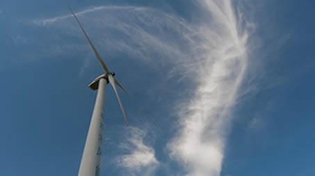 商標(biāo)法規(guī)定了聊城市哪些標(biāo)志不能作為商標(biāo)注冊